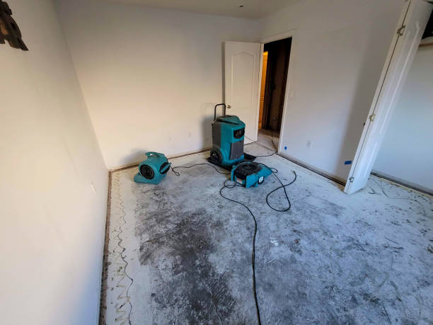 Best Emergency water damage restoration  in Orland Hls, IL