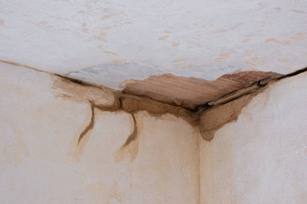 Best 24/7 water damage repair  in Orland Hls, IL