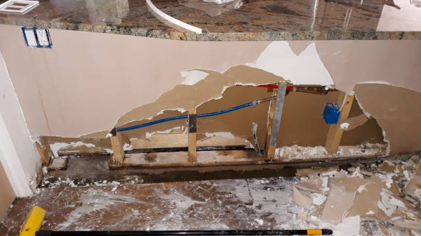 Best Fire Damage Restoration  in Orland Hls, IL