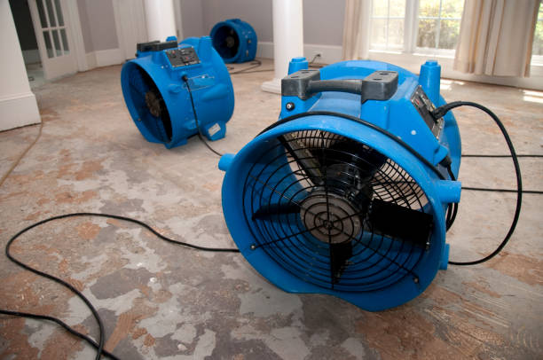 Best Water damage mitigation services  in Orland Hls, IL