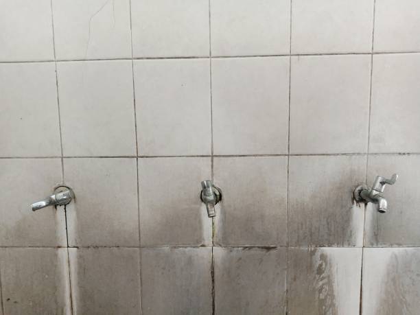  Orland Hls, IL Water damage restoration Pros
