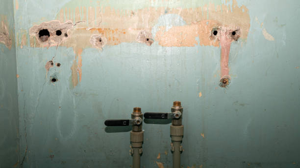 Best Water damage restoration near me  in Orland Hls, IL