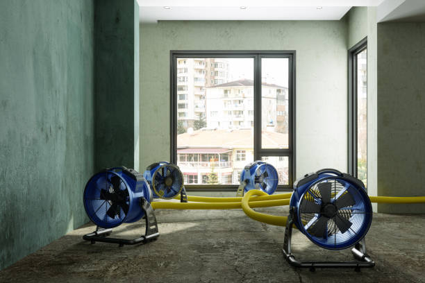 Best Water damage restoration near me  in Orland Hls, IL